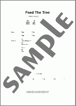 Feed The Tree(Belly) 楽譜 ギター（コード）