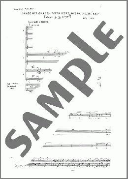 Singe die Garten, mein Herz, die du nicht kennst (12 Singers)(Per Norgard) 楽譜 合唱（その他） ダウンロード