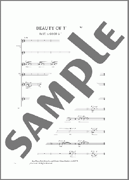 Beauty Of The Day(Nico Muhly/Thomas Traherne/C.P. Cavafy/John James Audubon) 楽譜 合唱（その他） ダウンロード